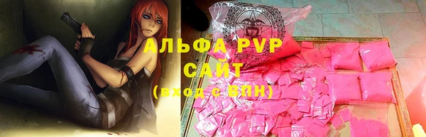шишки Покачи