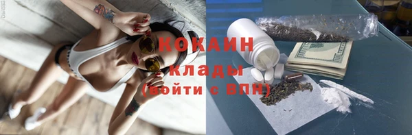 шишки Покачи