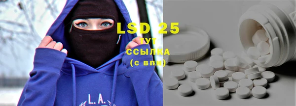шишки Покачи
