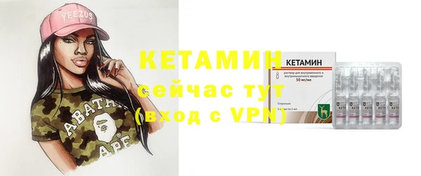 шишки Покачи