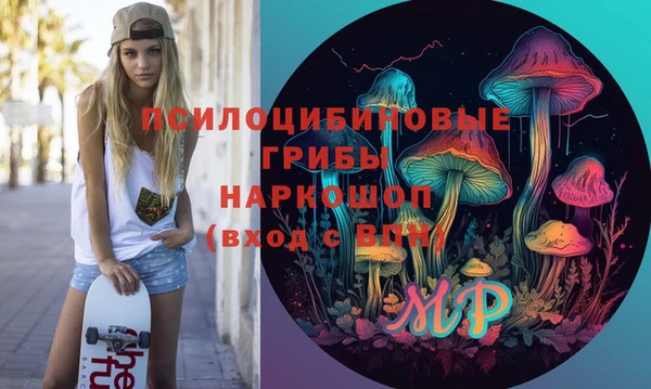 шишки Покачи