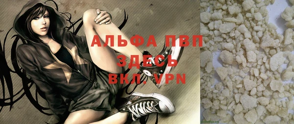 шишки Покачи