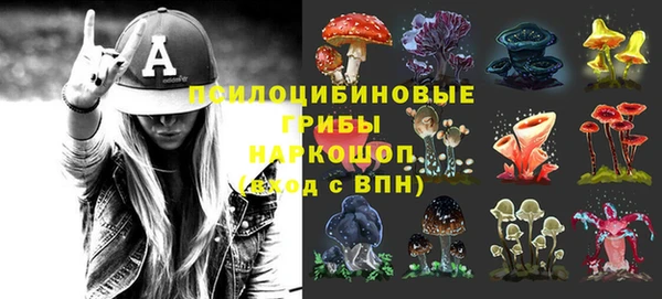 spice Покровск