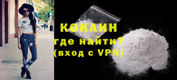 шишки Покачи