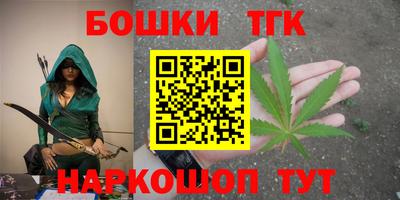 индика Бийск