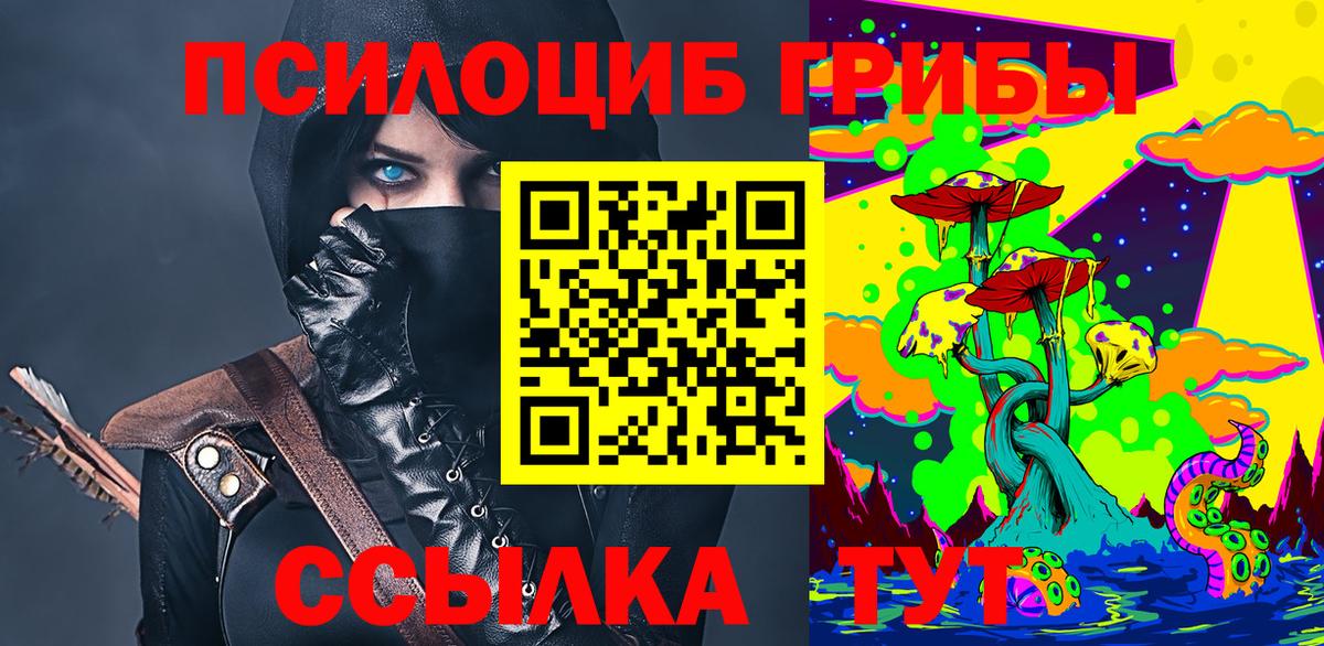 Псилоцибиновые грибы Psilocybe  Чебоксары  Псилоцибиновые грибы Psilocybine cubensis 