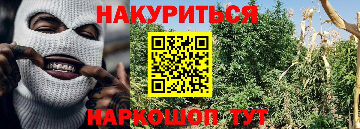 Чебоксары  МАРИХУАНА план  Бошки Шишки гибрид  Вход с VPN  Канабис AK-47 